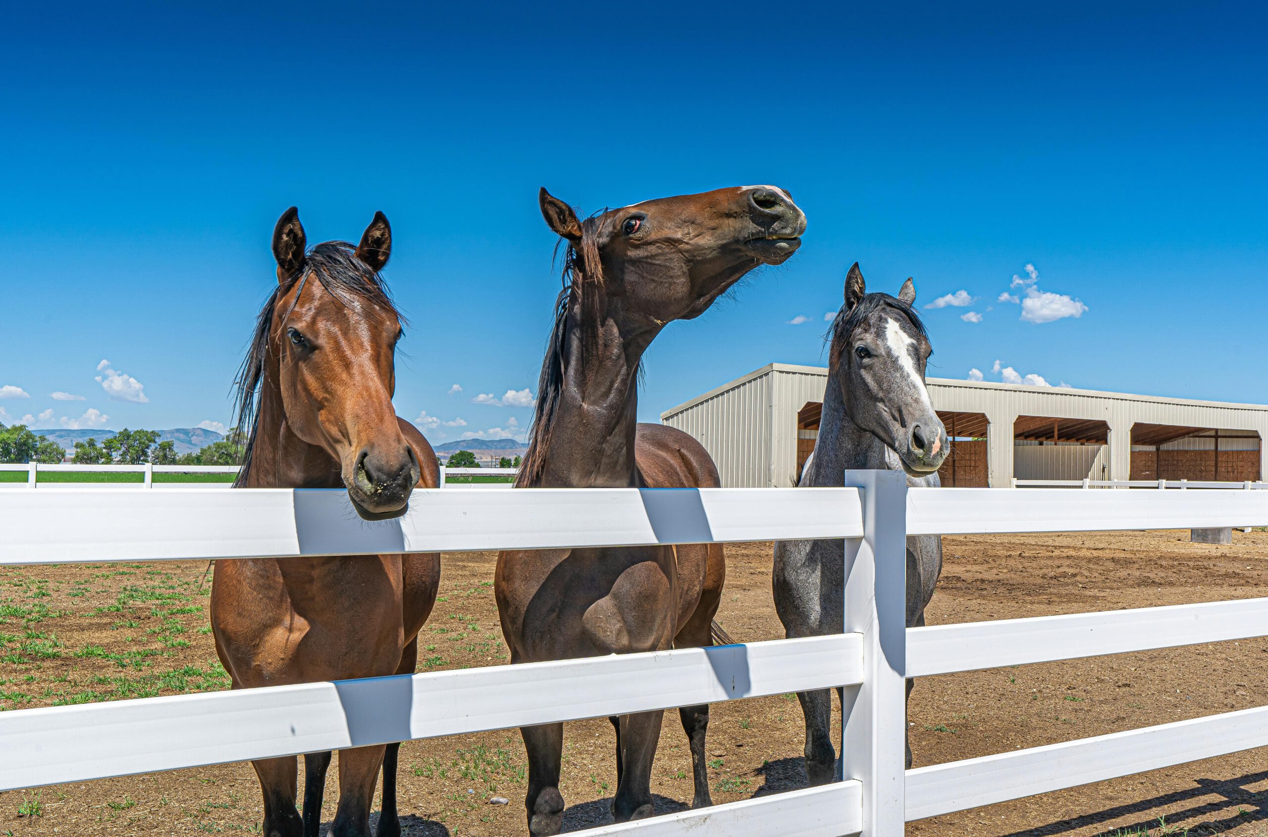 TMF Services Revolutionizes Agricultural Fencing with Innovative Solutions